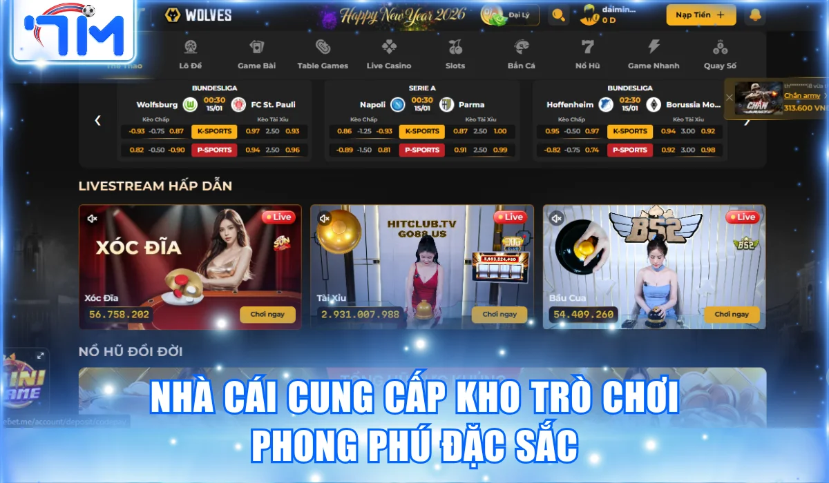 Nhà cái cung cấp kho trò chơi phong phú đặc sắc